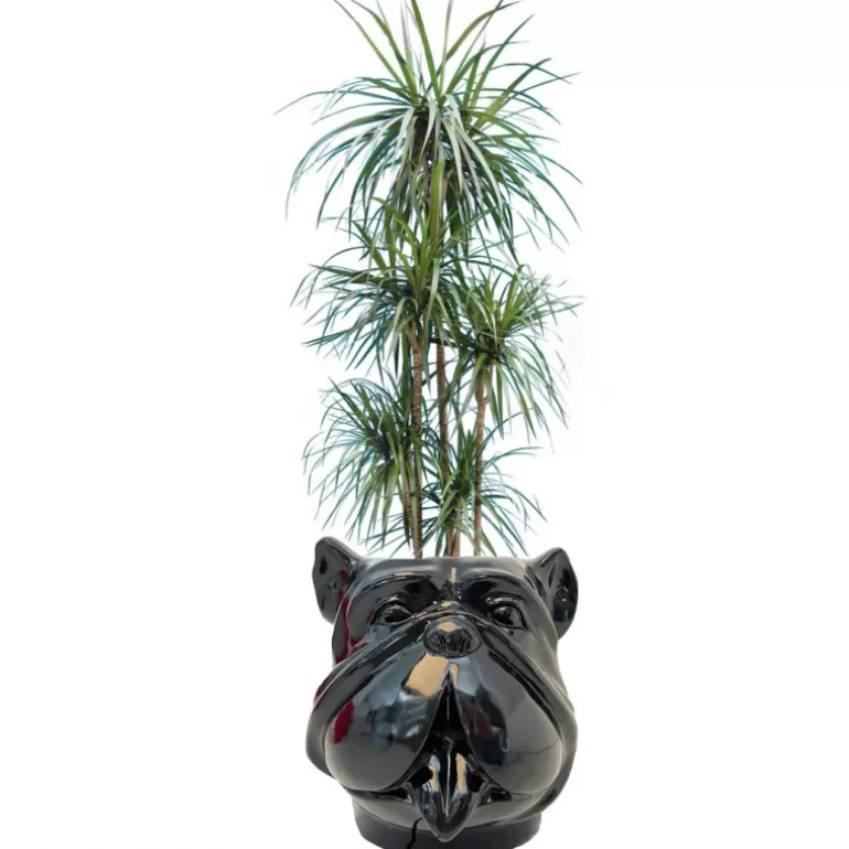 Grand Vase design pour extérieur tête de bouldog - Leo 70 cm<Meubles Moss Sale