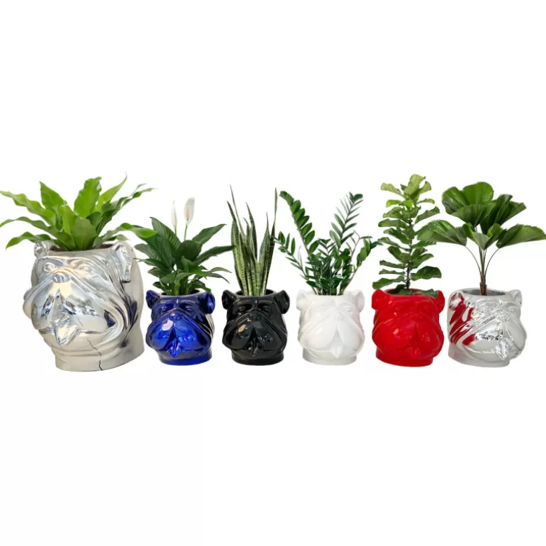 Grand Vase design pour extérieur tête de bouldog - Leo 70 cm<Meubles Moss Clearance
