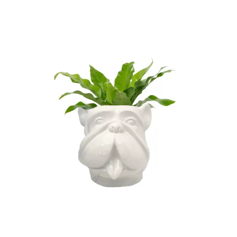 Grand Vase design pour extérieur tête de bouldog - Leo 70 cm<Meubles Moss Hot