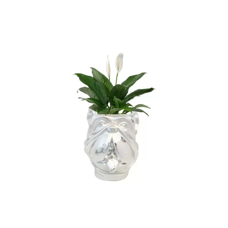 Grand Vase design pour extérieur tête de bouldog - Leo 70 cm<Meubles Moss Store