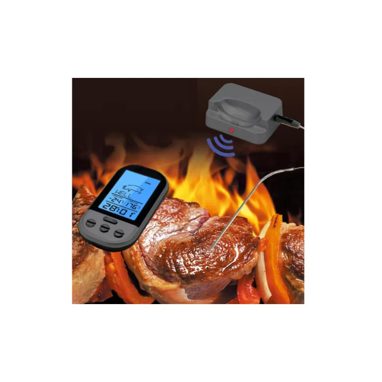 Thermomètre digital de cuisine, sonde outil de température sans fil - Kamin<Meubles Moss Outlet