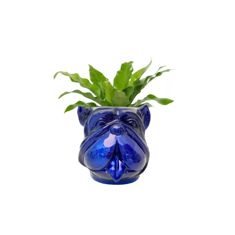 Vase design pour extérieur tête de bouldog - Leo 40 cm<Meubles Moss Clearance