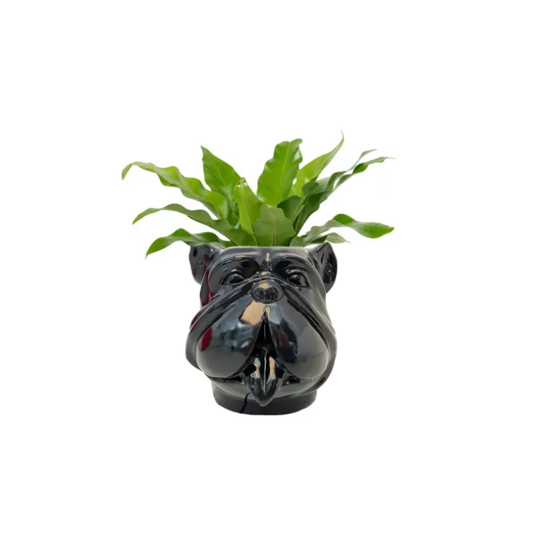 Vase design pour extérieur tête de bouldog - Leo 40 cm<Meubles Moss Online